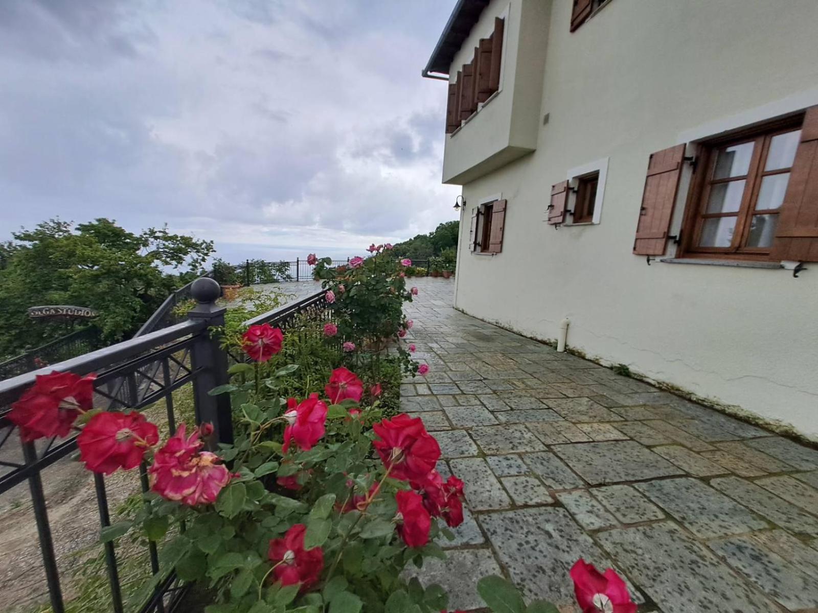 Olga Studios Cangaráda Kültér fotó