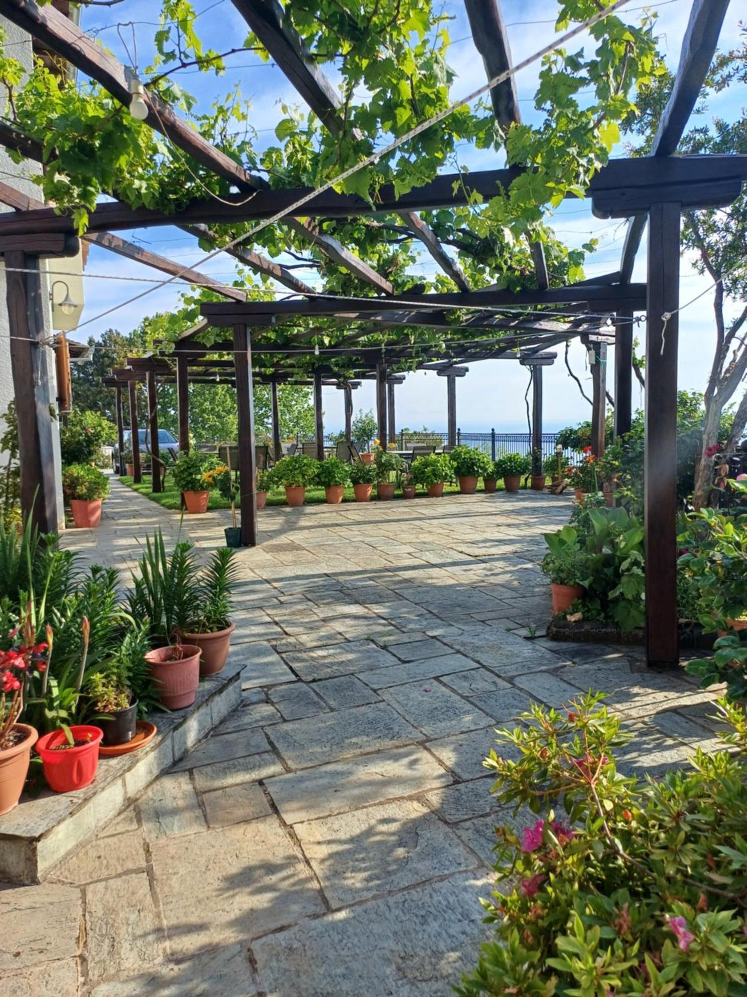 Olga Studios Cangaráda Kültér fotó